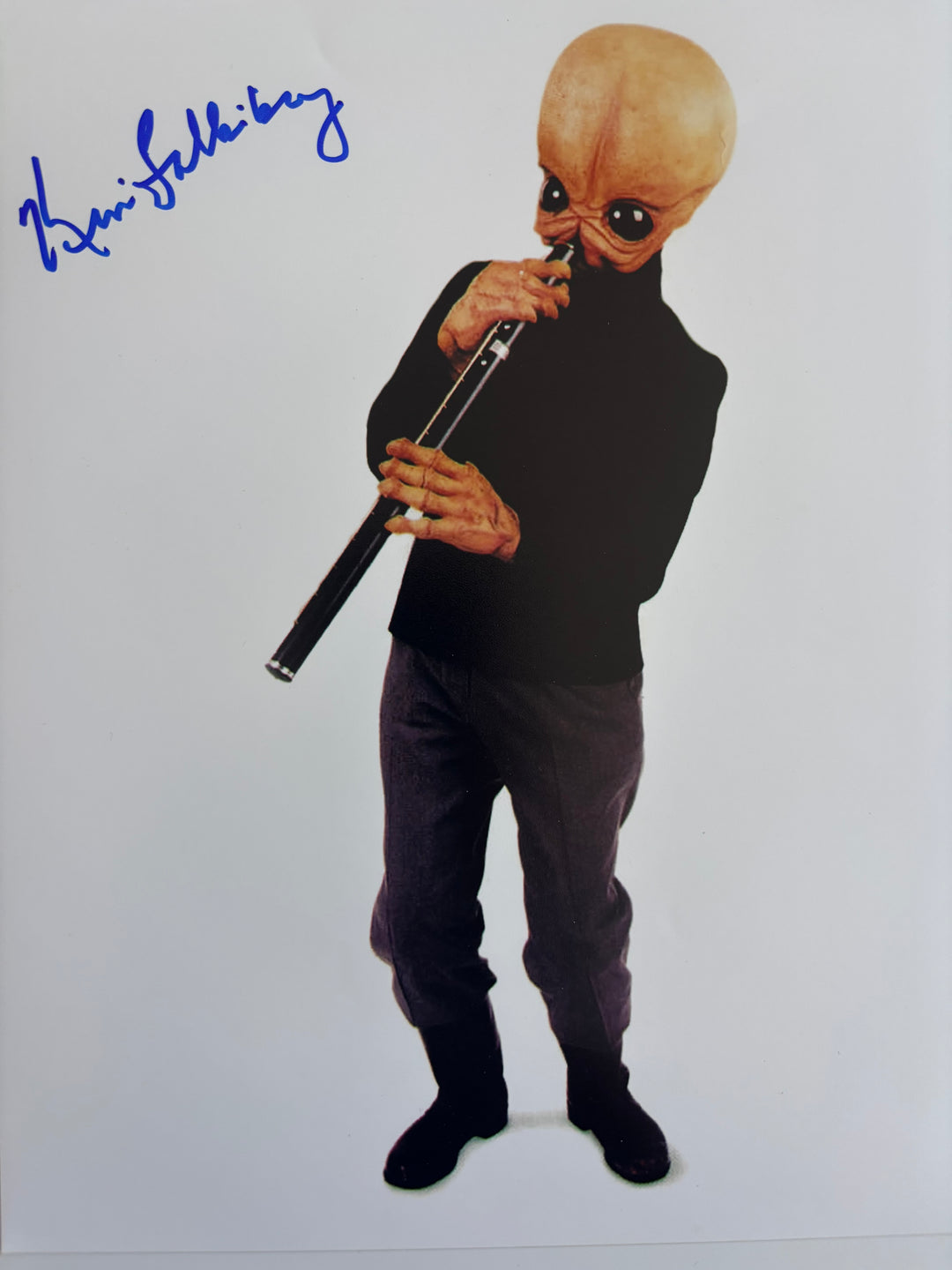 Kim Falkinburg signed Autograph 8x10 Star Wars