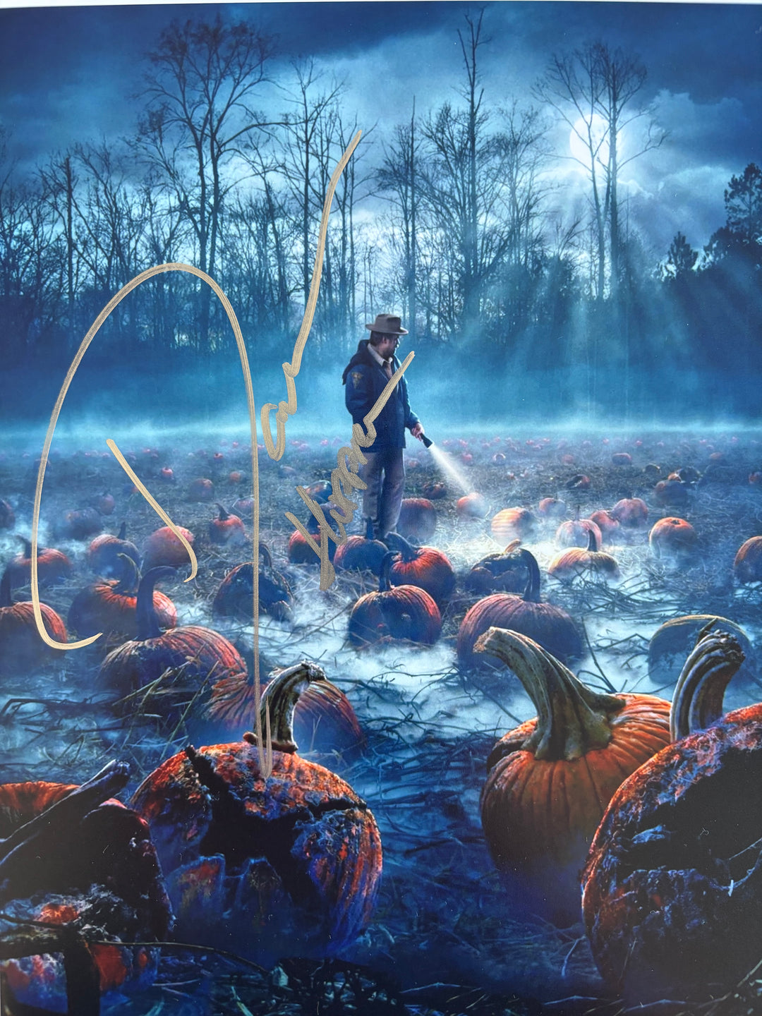 David Harbour signed Autograph 8x10 Stranger Things, Hellboy, Marvel