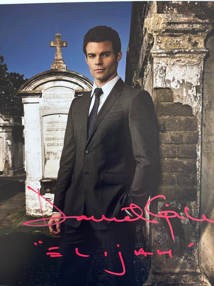 Daniel Gillies signed Autograph 8x10 Vampire Diaries