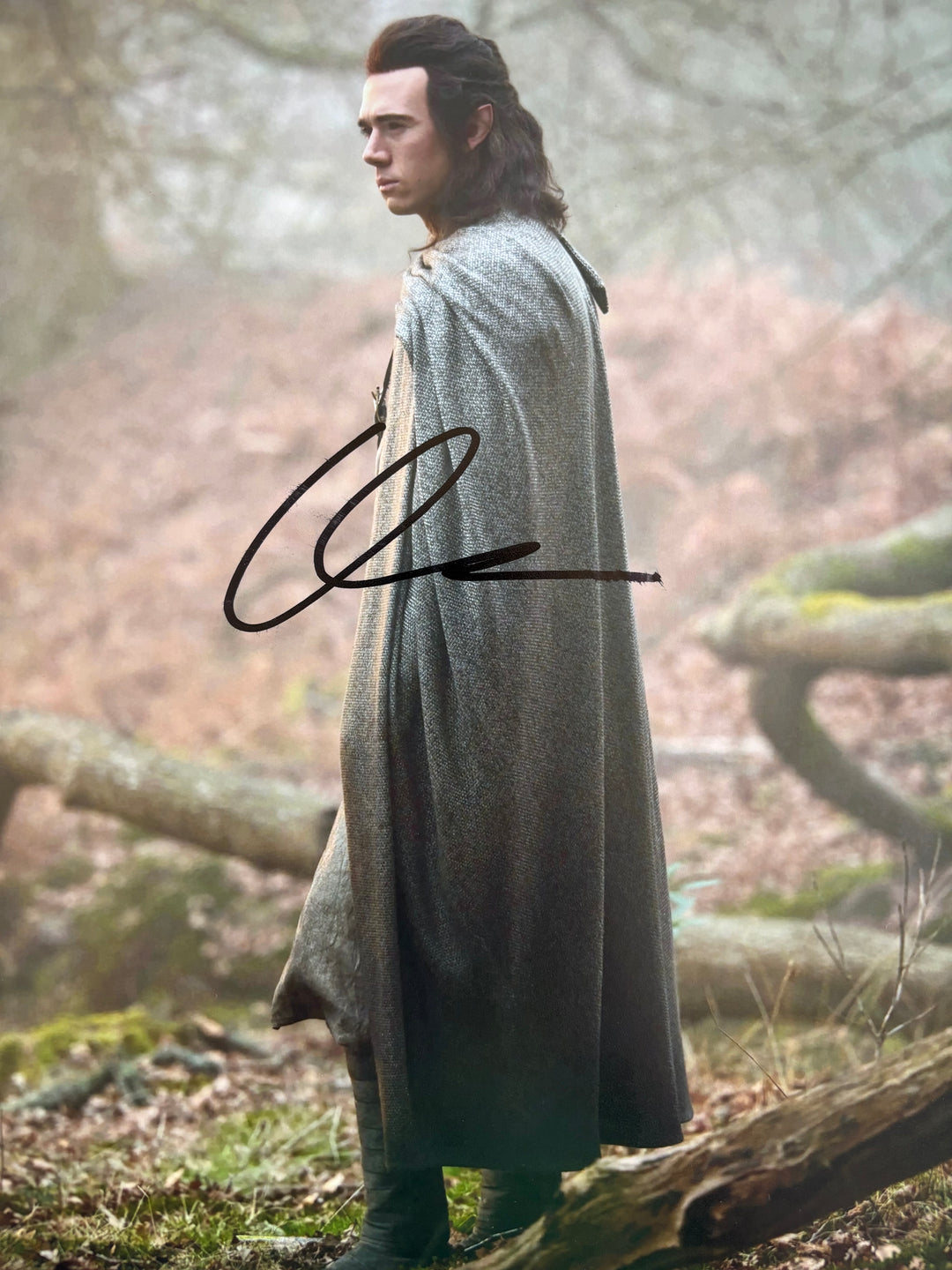 Calam Lynch signed Autograph 8x10 Lord of the Rings, Bridgerton