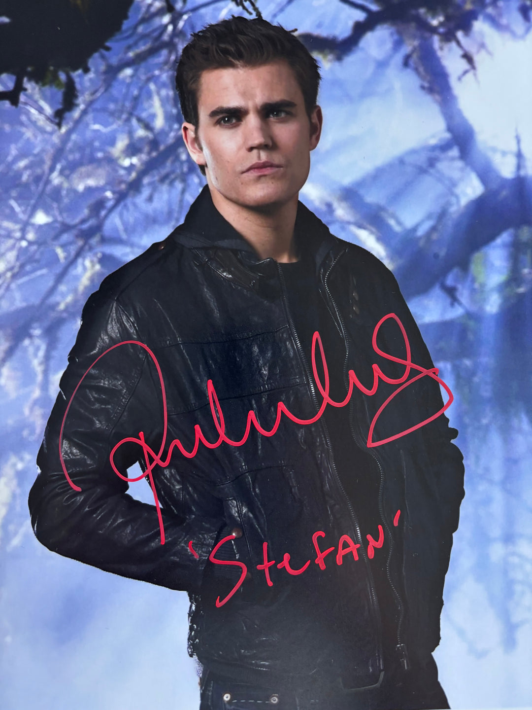 Paul Wesley signed Autograph 8x10 Vampire Diaries, Star Trek