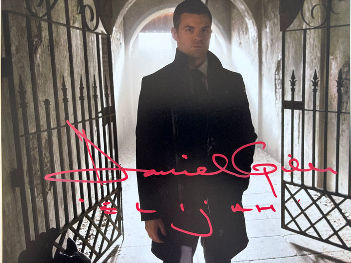 Daniel Gillies signed Autograph 8x10 Vampire Diaries