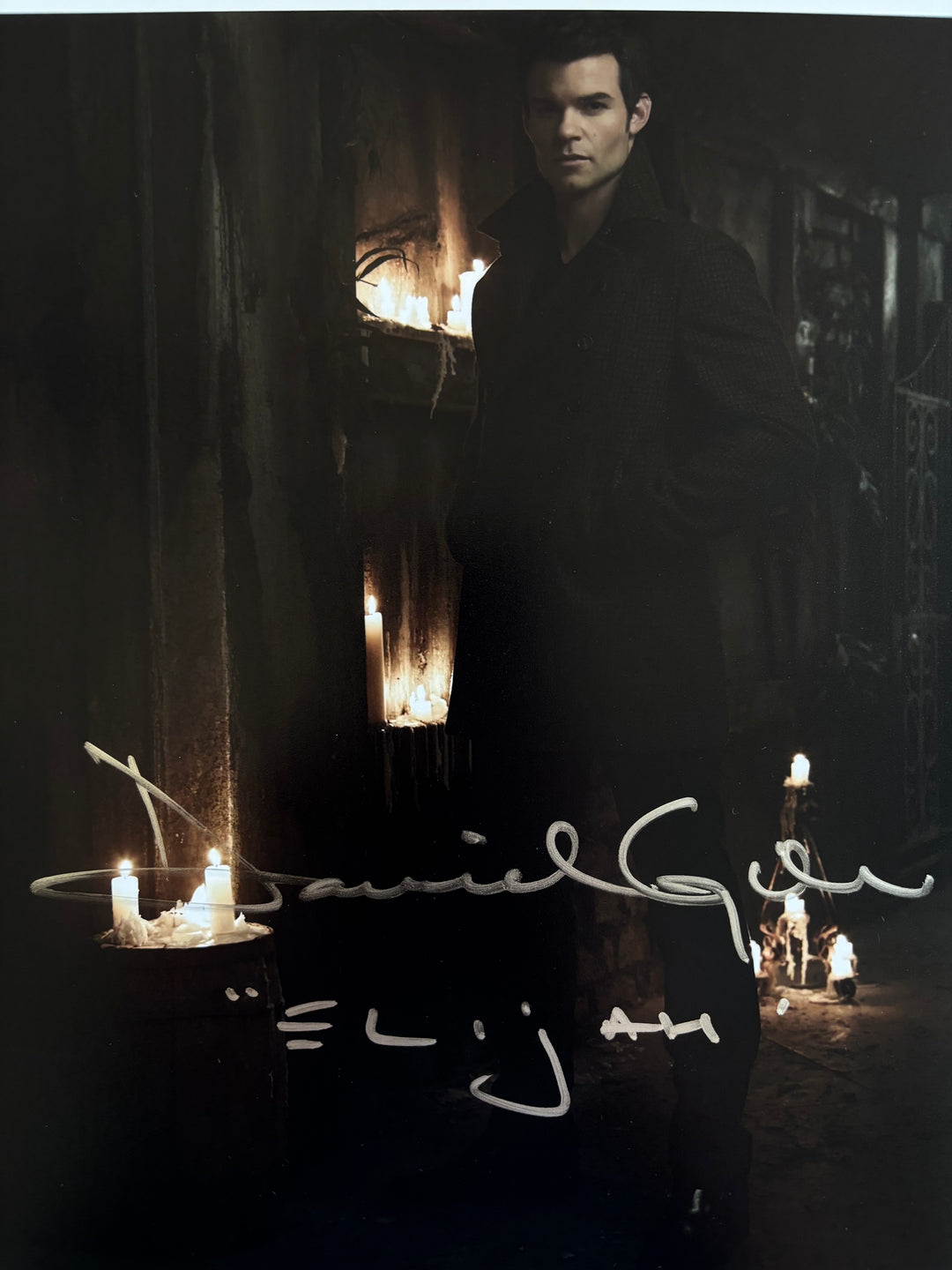 Daniel Gillies signed Autograph 8x10 Vampire Diaries
